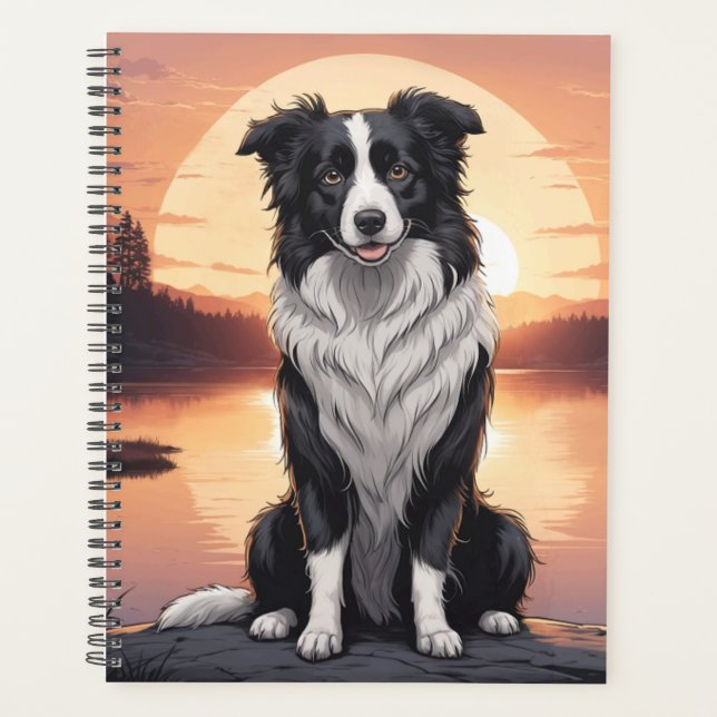 Chien Border Collie (Devant)