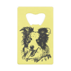 Chien Border Collie - Amoureux d'Aussie