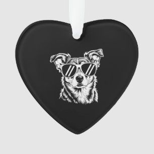 Chien Border Collie portant des lunettes de soleil