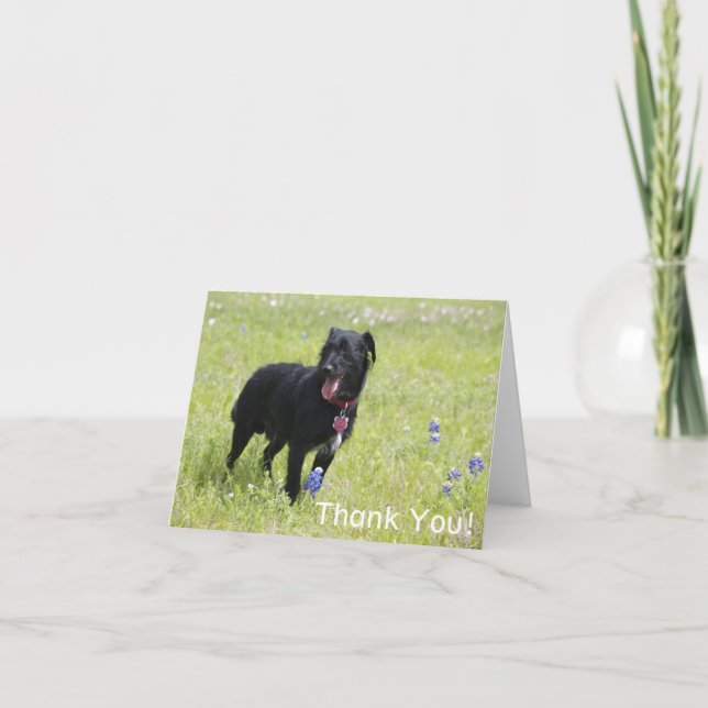 Chien Carte de remerciements (Devant)