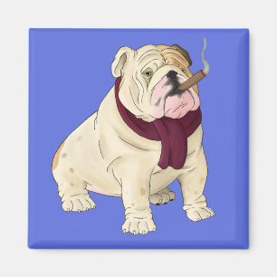 Chien Cartoon Bouledogue Anglais Bleu Magnet