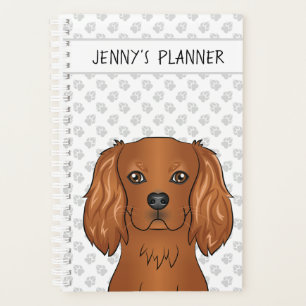 Chien Cavalier King Charles Spaniel Ruby & Titre