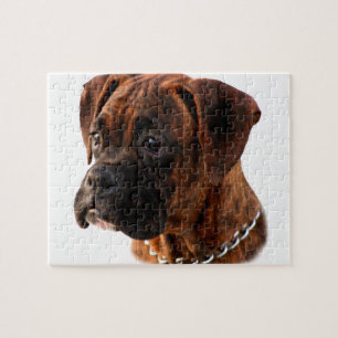 Chien Chien Chien Puzzle puzzle Boxer