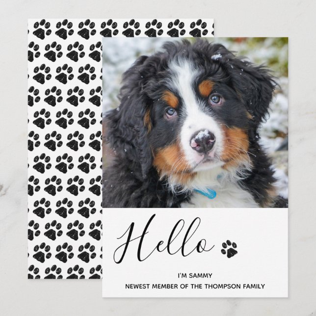 Chien Chien Chip Nouveau Faire-part animal (Devant / Derrière)