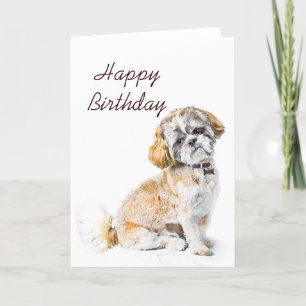 Chien Chih Tzu Joyeux Carte d'Anniversaire