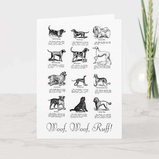 CHIEN CLASSIQUE CARTE DE SOUHAIT D'ANNIVERSAIRE (Devant)