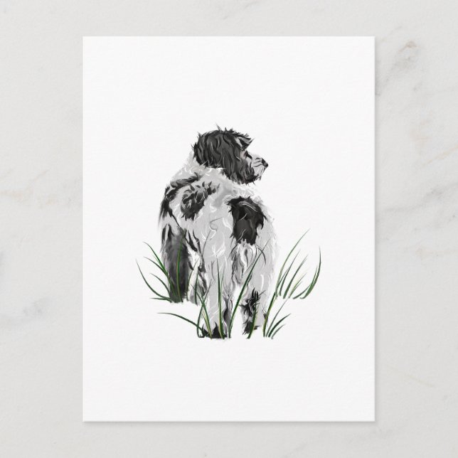 Chien Cockapoo, Carte Postale Aquarelle (Devant)