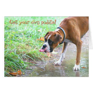 Chien collant la langue avec la carte de magma