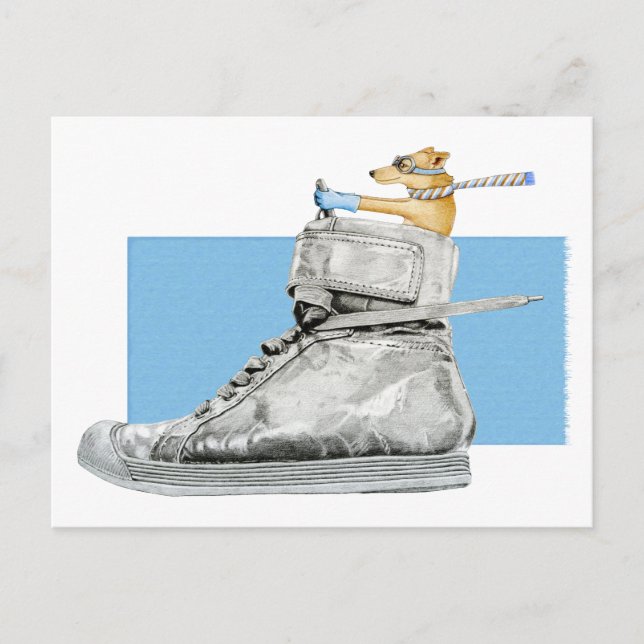 Chien conduisant une chaussure 2 carte postale (Devant)