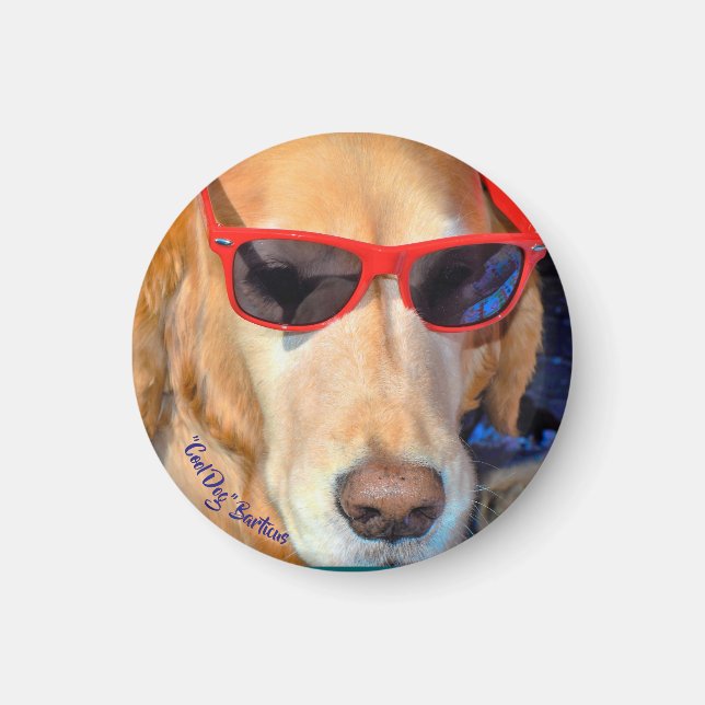 "Chien Cool" Barticus Magnet (Devant)