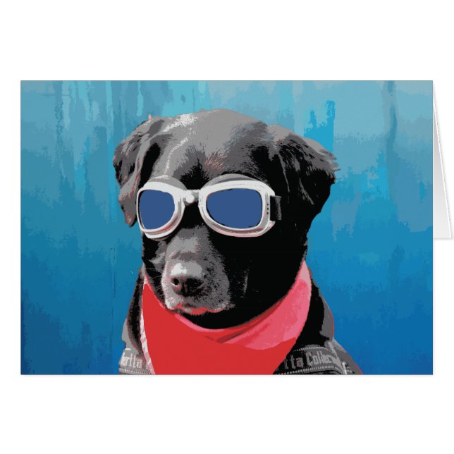 Chien cool Black Lab Bandana Bleu Goggets (Devant Horizontal)