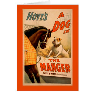 Chien d'A de Hoyt dans l'affiche de théâtre de