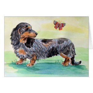 Chien Dachshund Avec Papillon