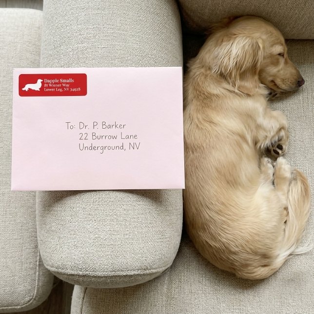 Chien Dachshund Wiener | Étiquette d'adresse de re (Dachshund Wiener Dog | Red Return Address Label)