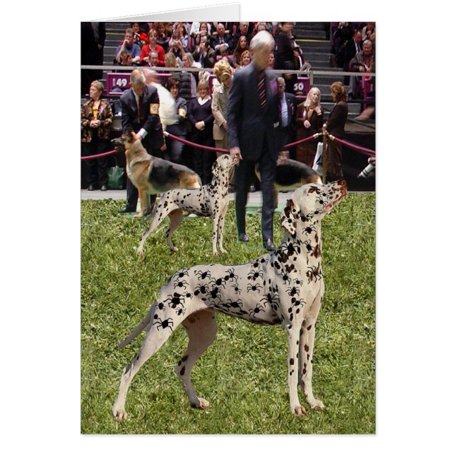 Chien dalmatien drôle d'exposition (Devant)