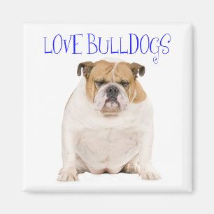 Chien d'amour chiot Bouledogue Anglais Magnet