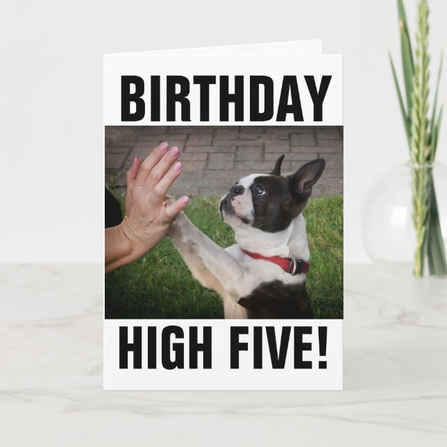 CHIEN D'ANNIVERSAIRE HIGH CINQ CARTE FUNNY (Devant)