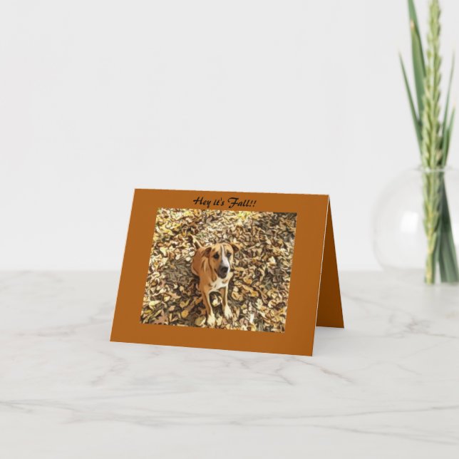 Chien dans les feuilles Carte de voeux d'Automne (Devant)