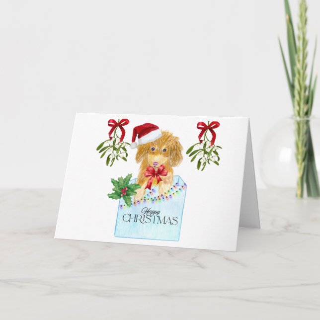 Chien dans une boîte bleue Carte de Noël (Devant)