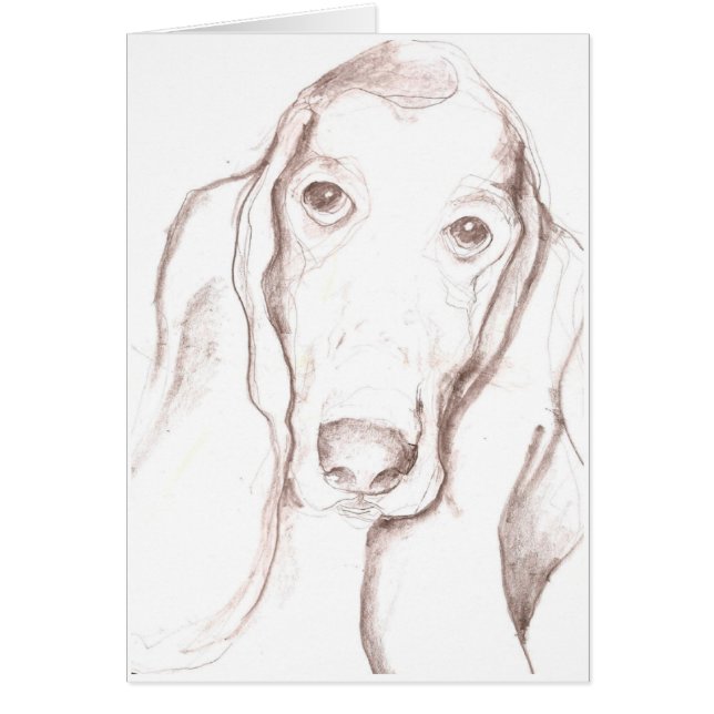 chien de basset (Devant)