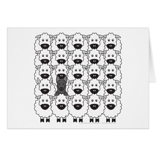 Chien de berger allemand chez les moutons (Devant horizontal)