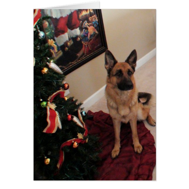 chien de berger allemand de Noël (Devant)