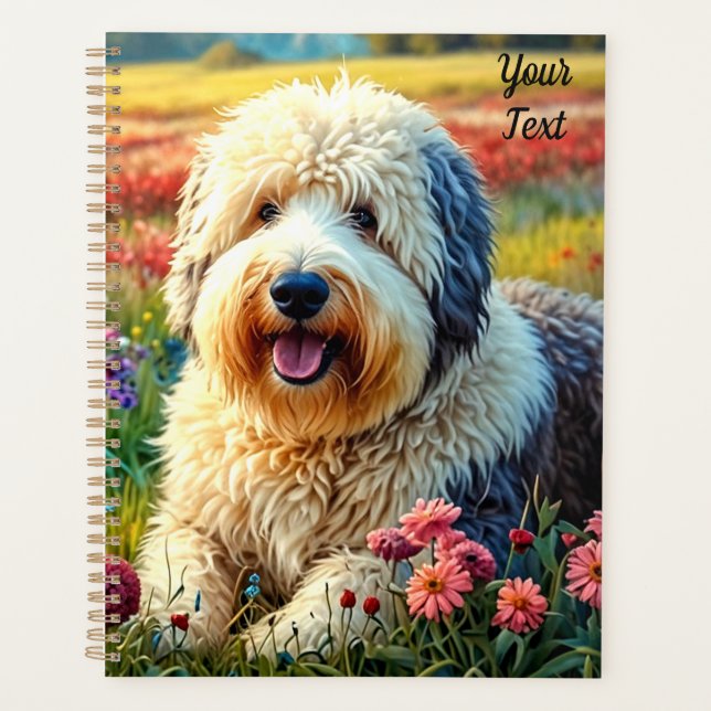 Chien de berger anglais ancien (Devant)
