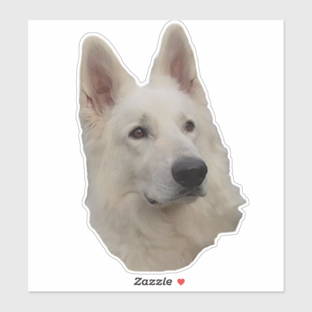 Chien de berger blanc Tête Autocollant (Feuille)