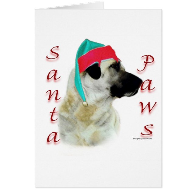 Chien de Berger de l'Anatolie Père Noël Paws (Devant)
