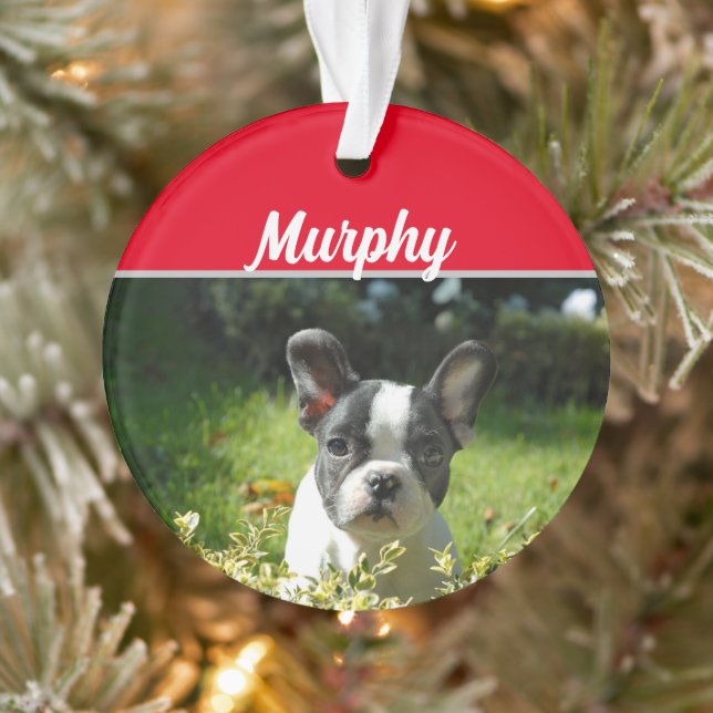 Chien de Boston Terrier avec nom et photo Noël (Arbre)