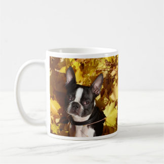 Chien de Boston Terrier entouré par la tasse de