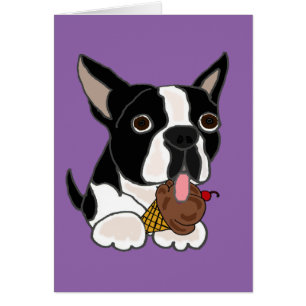 Chien de Boston Terrier mangeant la crème glacée