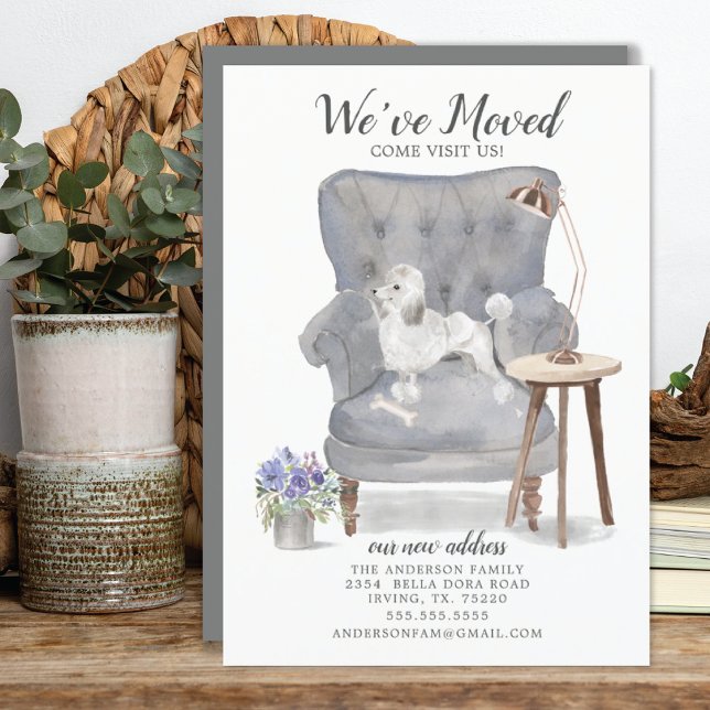 Chien de caniche blanc | Faire-part de déplacement (Créateur téléchargé)