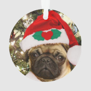 Chien de carlin de Noël