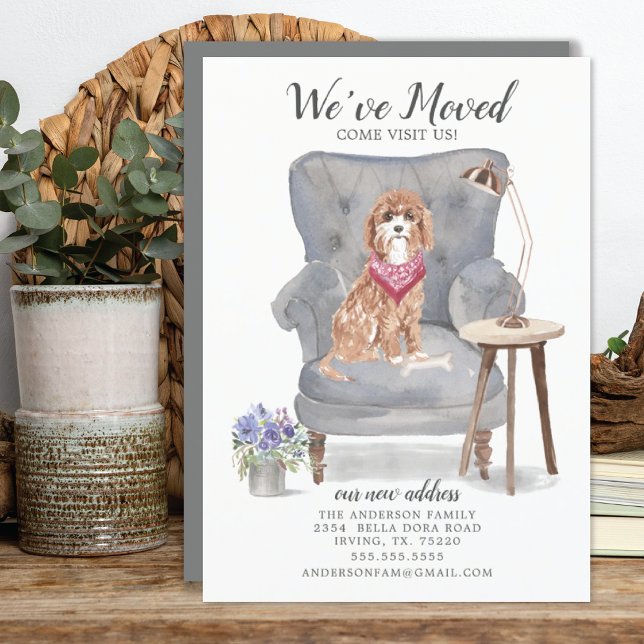 Chien de Cavapoo | Faire-part de déplacement (Créateur téléchargé)