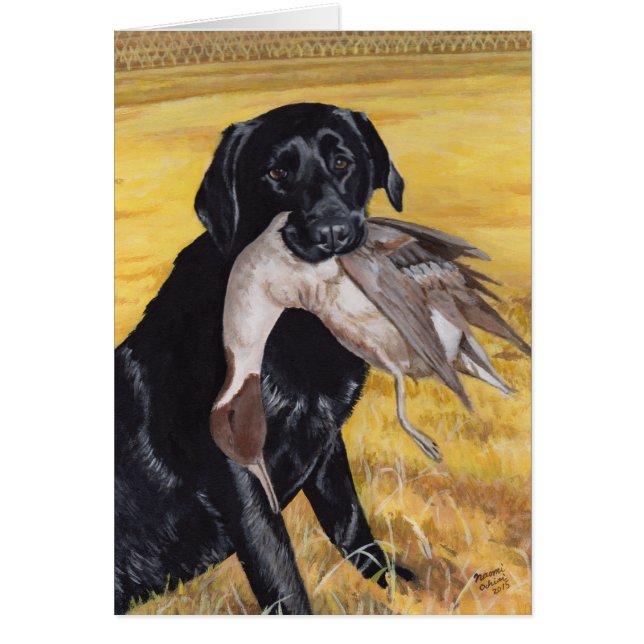 Chien de chasse noir de Labrador (Devant)