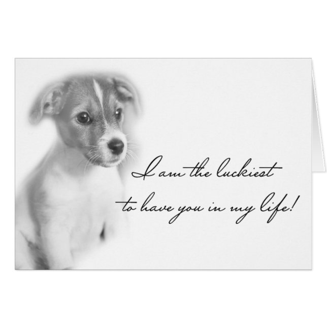 Chien de chiot (Devant horizontal)