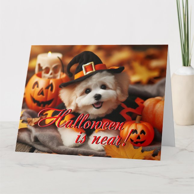 Chien de la carte d'Halloween Maltipoo (Devant)