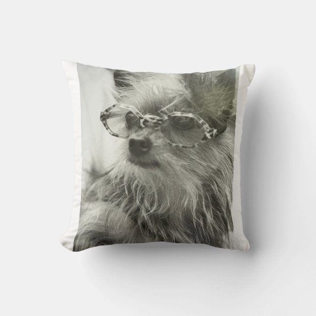 Chien de mode de NYC. Coussin de jeté de la 5e Ave (Recto)
