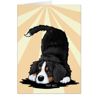 Chien de montagne bernois