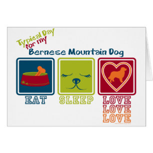 Chien de montagne de Bernese