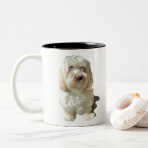 Chien de Mug Havanais
