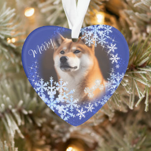 Chien de Noël Ornement bleu