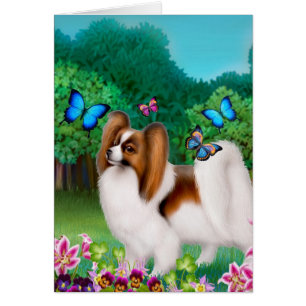 Chien de Papillon dans le jardin de jardin