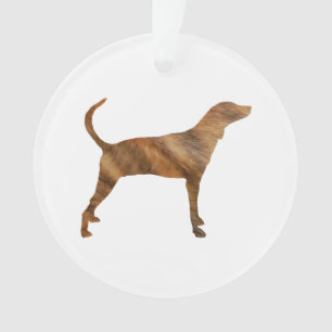 chien de plott silhouette.png brindle