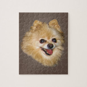 Chien de Pomeranian sur le puzzle Brown