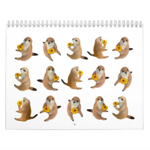 chien de prairie, calendrier