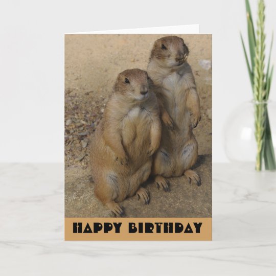 Chien De Prairie De Carte De Joyeux Anniversaire Zazzle Fr