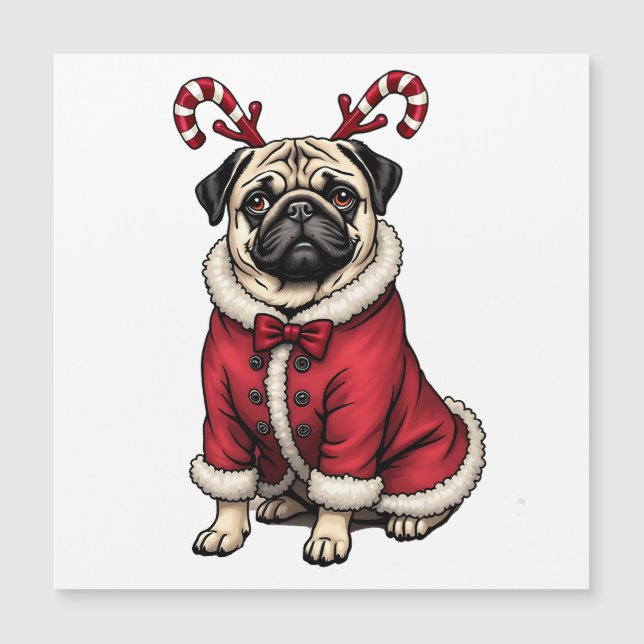 Chien de Pub Vêtu de Costume de Père Noël Pour Ama (Devant)