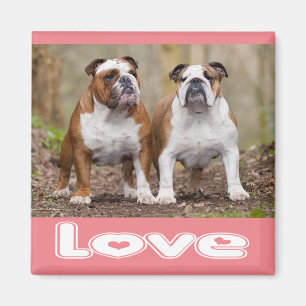 Chien de race Bouledogue Anglais rose Magnet